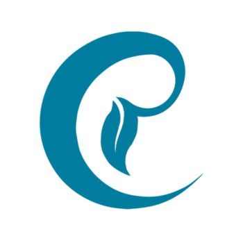 Embarq Solutions Logo