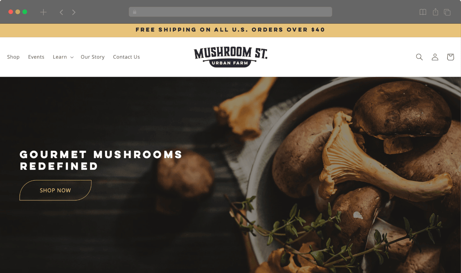 A shot of Mushroom Street's home page on their website