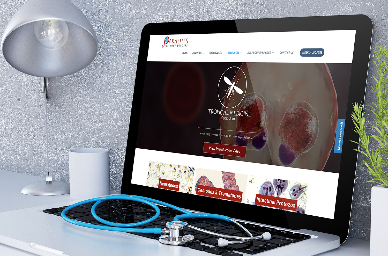 A mock image of a laptop with Parasites Without Borders learning platform